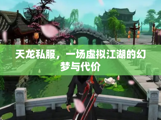 天龙私服，一场虚拟江湖的幻梦与代价