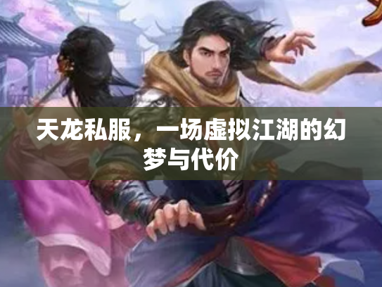 天龙私服，一场虚拟江湖的幻梦与代价