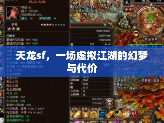 天龙sf，一场虚拟江湖的幻梦与代价