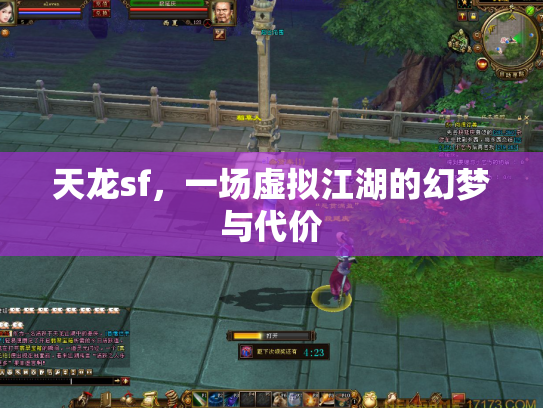 天龙sf，一场虚拟江湖的幻梦与代价