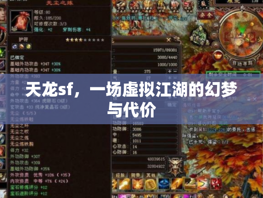 天龙sf，一场虚拟江湖的幻梦与代价