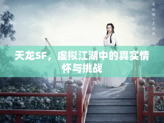 天龙SF，虚拟江湖中的真实情怀与挑战