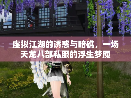 虚拟江湖的诱惑与暗礁，一场天龙八部私服的浮生梦魇
