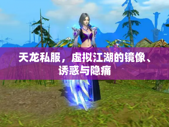 天龙私服，虚拟江湖的镜像、诱惑与隐痛