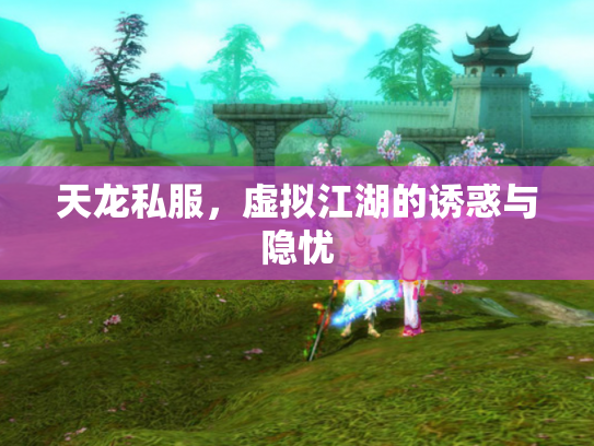 天龙私服，虚拟江湖的诱惑与隐忧