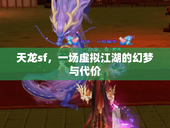 天龙sf，一场虚拟江湖的幻梦与代价