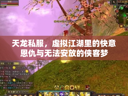 天龙私服，虚拟江湖里的快意恩仇与无法安放的侠客梦