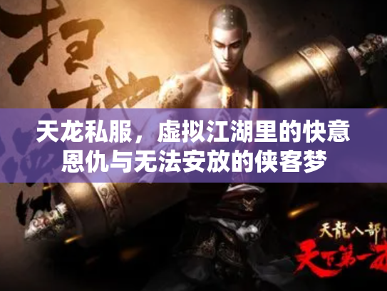 天龙私服，虚拟江湖里的快意恩仇与无法安放的侠客梦