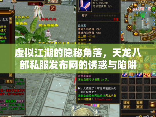 虚拟江湖的隐秘角落，天龙八部私服发布网的诱惑与陷阱