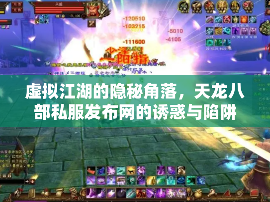 虚拟江湖的隐秘角落，天龙八部私服发布网的诱惑与陷阱