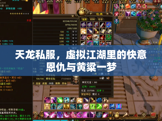 天龙私服，虚拟江湖里的快意恩仇与黄粱一梦