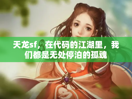 天龙sf，在代码的江湖里，我们都是无处停泊的孤魂