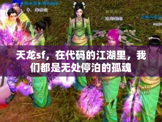 天龙sf，在代码的江湖里，我们都是无处停泊的孤魂