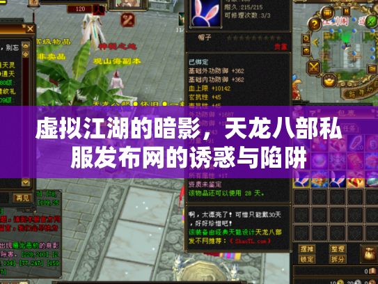 虚拟江湖的暗影，天龙八部私服发布网的诱惑与陷阱