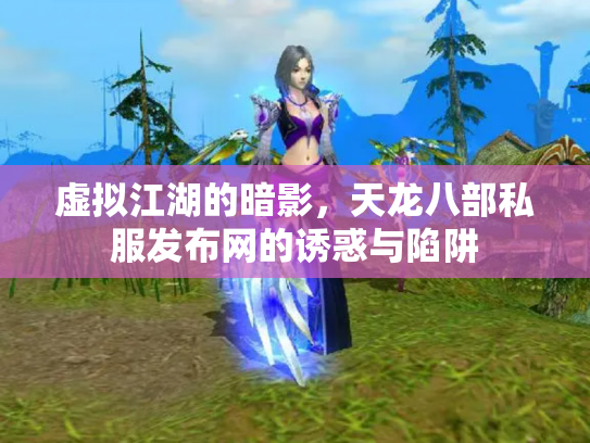 虚拟江湖的暗影，天龙八部私服发布网的诱惑与陷阱