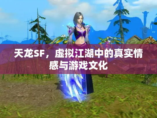 天龙SF，虚拟江湖中的真实情感与游戏文化