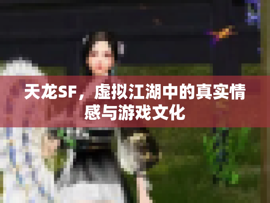 天龙SF，虚拟江湖中的真实情感与游戏文化