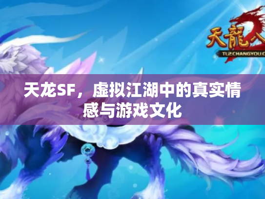 天龙SF，虚拟江湖中的真实情感与游戏文化
