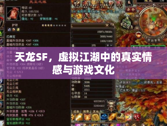 天龙SF，虚拟江湖中的真实情感与游戏文化