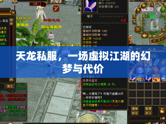 天龙私服，一场虚拟江湖的幻梦与代价