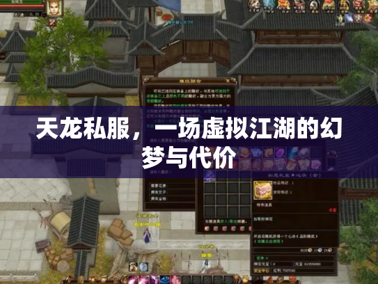 天龙私服，一场虚拟江湖的幻梦与代价