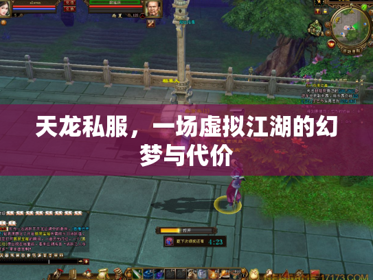 天龙私服，一场虚拟江湖的幻梦与代价