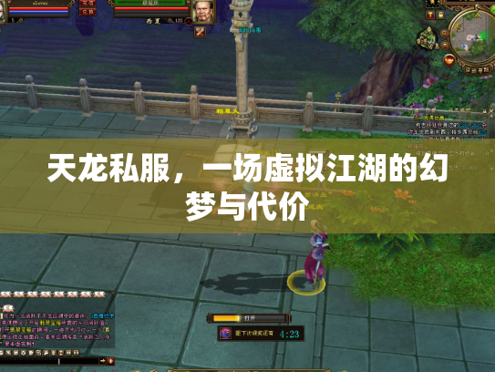 天龙私服，一场虚拟江湖的幻梦与代价