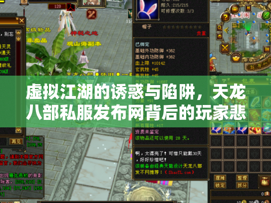 虚拟江湖的诱惑与陷阱，天龙八部私服发布网背后的玩家悲欢