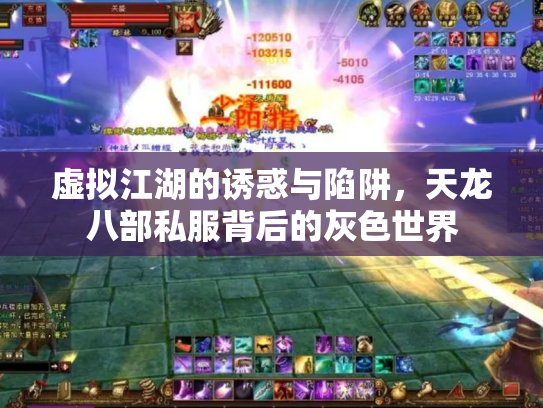 虚拟江湖的诱惑与陷阱，天龙八部私服背后的灰色世界