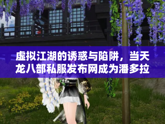 虚拟江湖的诱惑与陷阱，当天龙八部私服发布网成为潘多拉魔盒