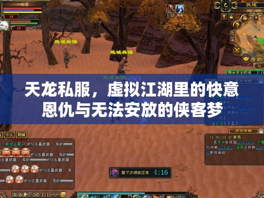 天龙私服，虚拟江湖里的快意恩仇与无法安放的侠客梦