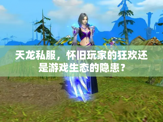 天龙私服，怀旧玩家的狂欢还是游戏生态的隐患？