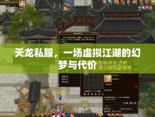 天龙私服，一场虚拟江湖的幻梦与代价