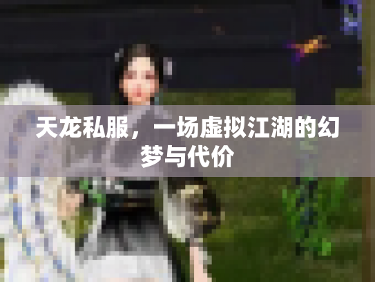 天龙私服，一场虚拟江湖的幻梦与代价