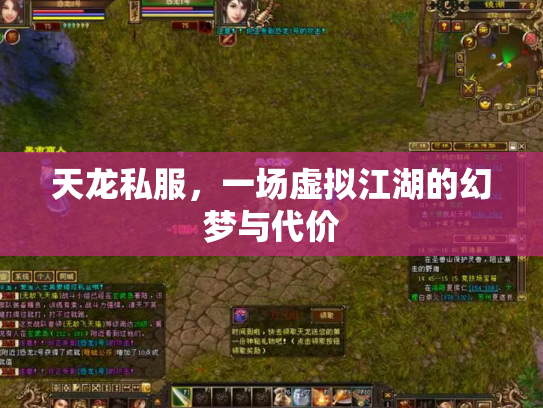 天龙私服，一场虚拟江湖的幻梦与代价