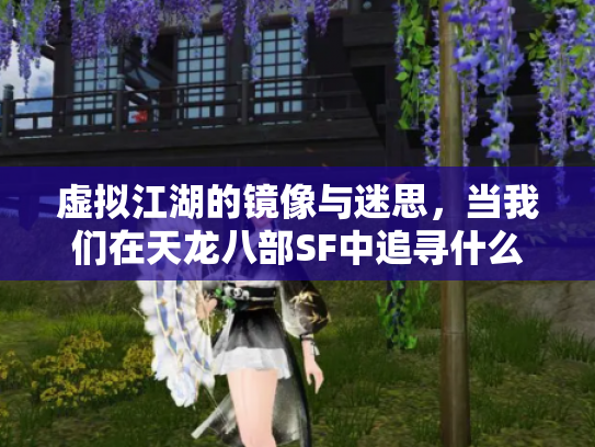 虚拟江湖的镜像与迷思，当我们在天龙八部SF中追寻什么？
