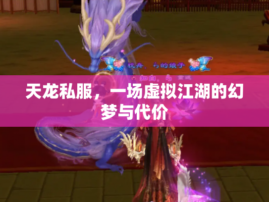 天龙私服，一场虚拟江湖的幻梦与代价