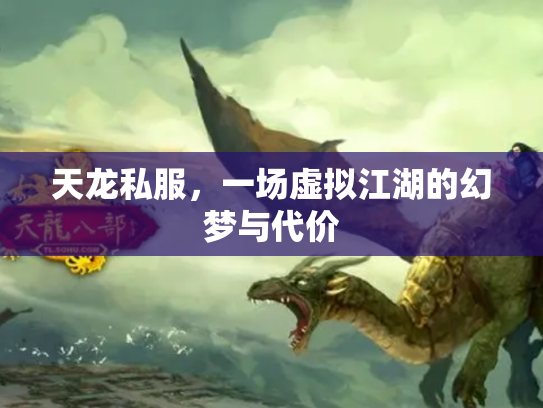 天龙私服，一场虚拟江湖的幻梦与代价