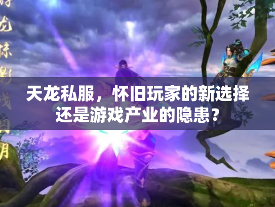 天龙私服，怀旧玩家的新选择还是游戏产业的隐患？