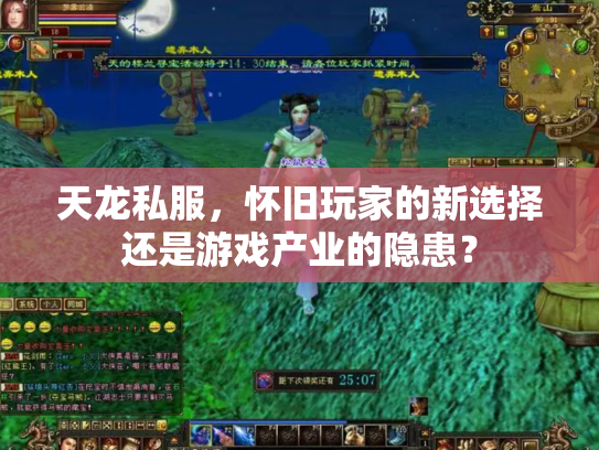 天龙私服，怀旧玩家的新选择还是游戏产业的隐患？