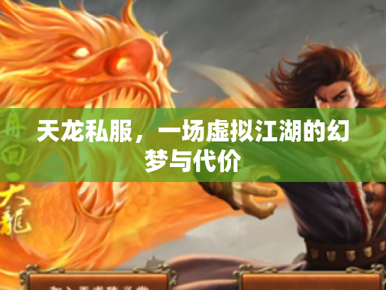 天龙私服，一场虚拟江湖的幻梦与代价