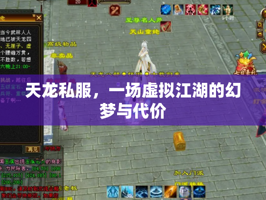 天龙私服，一场虚拟江湖的幻梦与代价