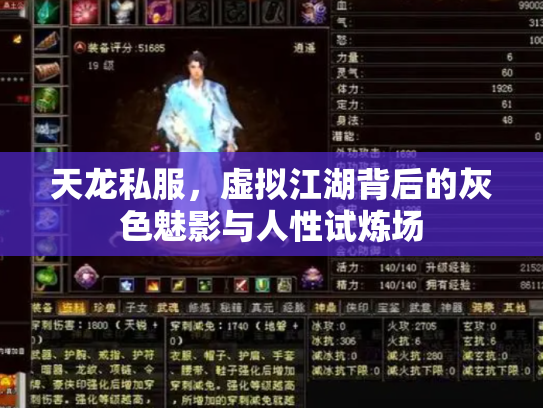 天龙私服，虚拟江湖背后的灰色魅影与人性试炼场