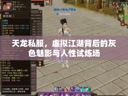 天龙私服，虚拟江湖背后的灰色魅影与人性试炼场