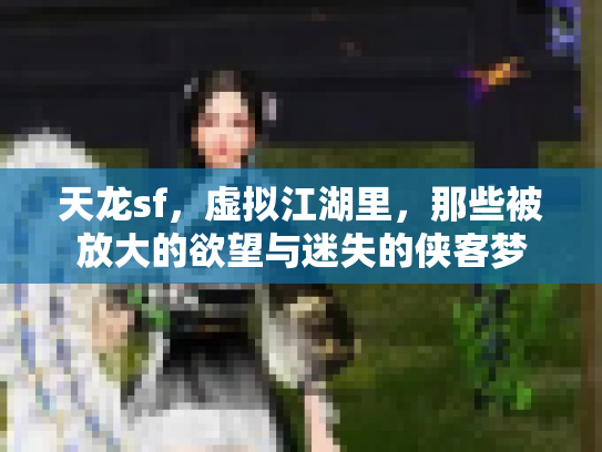 天龙sf，虚拟江湖里，那些被放大的欲望与迷失的侠客梦