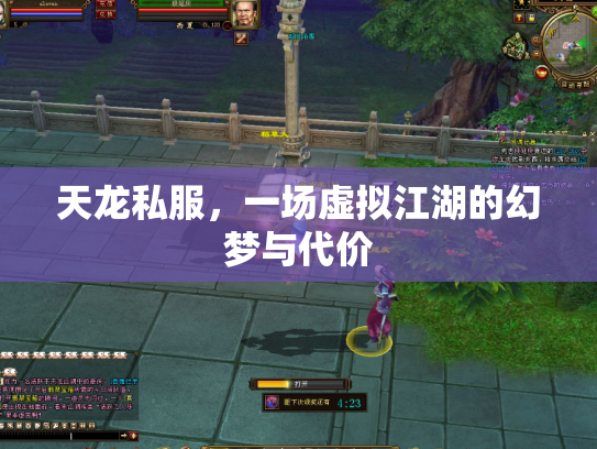 天龙私服，一场虚拟江湖的幻梦与代价