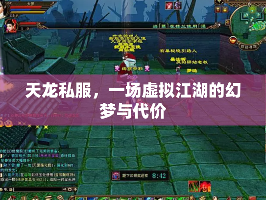 天龙私服，一场虚拟江湖的幻梦与代价