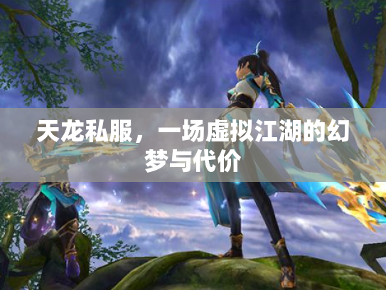 天龙私服，一场虚拟江湖的幻梦与代价