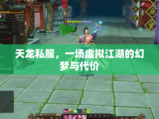 天龙私服，一场虚拟江湖的幻梦与代价