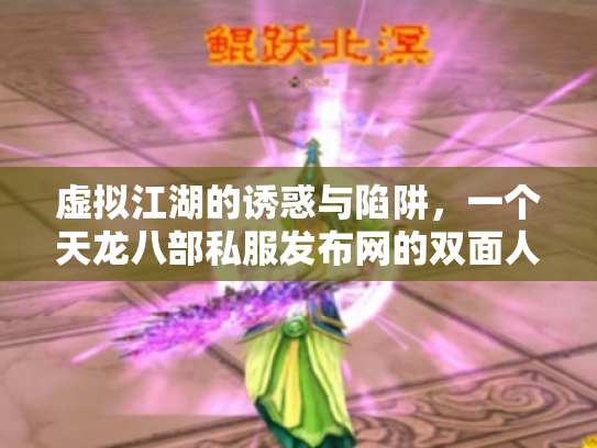 虚拟江湖的诱惑与陷阱，一个天龙八部私服发布网的双面人生